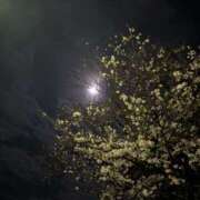 ヒメ日記 2026/04/01 11:27 投稿 りく 土浦ハッピーマットパラダイス