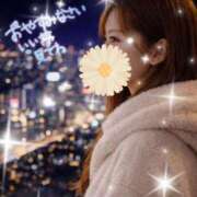 ヒメ日記 2026/01/15 00:03 投稿 堀内ひより 月の真珠-五反田-