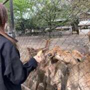 ヒメ日記 2026/01/27 17:53 投稿 堀内ひより 月の真珠-五反田-