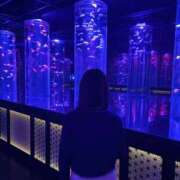 ヒメ日記 2026/01/28 10:50 投稿 堀内ひより 月の真珠-五反田-