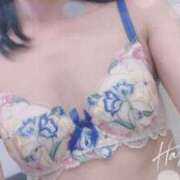 ヒメ日記 2026/01/10 10:11 投稿 かずは ぷるるんマダム 難波店