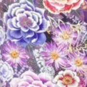 ヒメ日記 2026/01/12 13:21 投稿 こうき ぷるるん小町梅田店