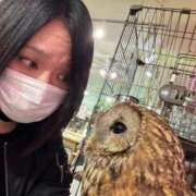 ヒメ日記 2026/05/04 16:10 投稿 まふゆ ドMなバニーちゃん 柴田店