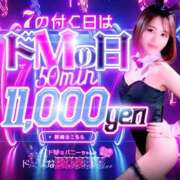 ヒメ日記 2026/01/17 12:30 投稿 ゆか ドMなバニーちゃん 柴田店