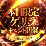 ヒメ日記 2026/03/12 16:20 投稿 ふみか ドMなバニーちゃん 柴田店