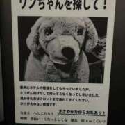 ルビー 💌昨日のお礼💌 ピンクコレクション大阪キタ店