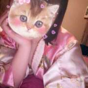 ヒメ日記 2026/01/28 13:07 投稿 かほ メイドde本舗