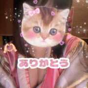 ヒメ日記 2026/01/28 16:04 投稿 かほ メイドde本舗