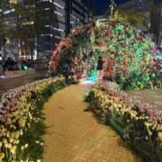 ヒメ日記 2026/04/06 17:28 投稿 ゆりか 錦糸町人妻セレブリティ（ユメオト）