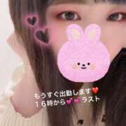 ヒメ日記 2026/01/20 15:10 投稿 ひとみ ちゃんこ摂津・茨木店