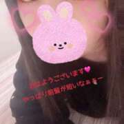 ヒメ日記 2026/02/25 09:49 投稿 ひとみ ちゃんこ摂津・茨木店