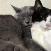 ヒメ日記 2026/02/10 22:50 投稿 めい 丸妻 池袋店