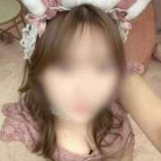 パルム しゅ🐰🎀 チューリップ福井本館