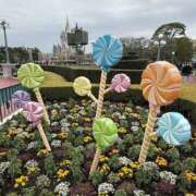 ヒメ日記 2026/03/18 10:46 投稿 柏木 熟女待機所 厚木店