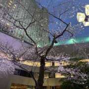 ヒメ日記 2026/03/28 00:06 投稿 柏木 熟女待機所 厚木店