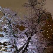 ヒメ日記 2026/03/30 23:06 投稿 柏木 熟女待機所 厚木店