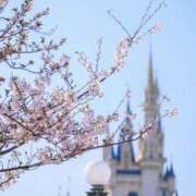 ヒメ日記 2026/04/03 23:45 投稿 柏木 熟女待機所 厚木店