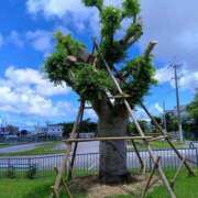 ヒメ日記 2026/10/02 09:53 投稿 月島 かなこ HANA-okinawa-