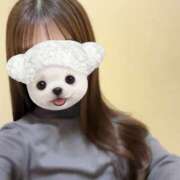 ヒメ日記 2026/02/18 16:48 投稿 りり VIVIDCREW 梅田堂山店