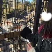 ヒメ日記 2026/02/05 01:02 投稿 まやの【SS級モデル美女】 One More 奥様 新宿店