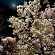 柚月　うらら ☔️ YOKOHAMA FIVESTAR（横浜ファイブスター）