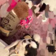 ヒメ日記 2026/02/21 02:40 投稿 みみ エマニエル秋葉原