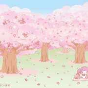 ヒメ日記 2026/03/29 20:03 投稿 みみ エマニエル秋葉原