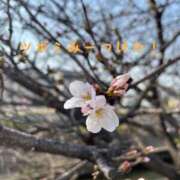 ヒメ日記 2026/03/28 22:15 投稿 山口りいな 恋する奥さん 西中島店