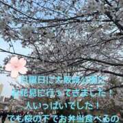 ヒメ日記 2026/03/31 07:23 投稿 山口りいな 恋する奥さん 西中島店
