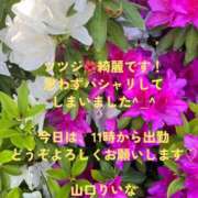 ヒメ日記 2026/04/22 09:14 投稿 山口りいな 恋する奥さん 西中島店