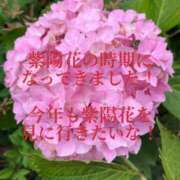 山口りいな ありがとうございました✨ 恋する奥さん 西中島店