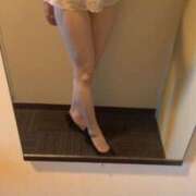 伊勢こゆき 森のうさぎ🐰 セレブ Rex