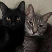 ヒメ日記 2026/01/09 17:45 投稿 まお 京都祇園・南インターちゃんこ