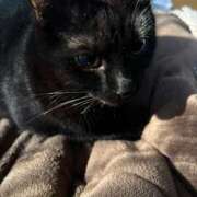 ヒメ日記 2026/01/17 14:31 投稿 まお 京都祇園・南インターちゃんこ