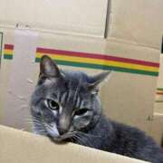 ヒメ日記 2026/01/17 14:53 投稿 まお 京都祇園・南インターちゃんこ