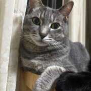 ヒメ日記 2026/01/18 20:49 投稿 まお 京都祇園・南インターちゃんこ