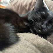 ヒメ日記 2026/01/18 20:57 投稿 まお 京都祇園・南インターちゃんこ