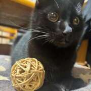 ヒメ日記 2026/01/20 13:13 投稿 まお 京都祇園・南インターちゃんこ