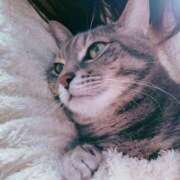 ヒメ日記 2026/01/29 20:17 投稿 まお 京都祇園・南インターちゃんこ