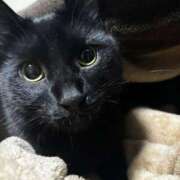 ヒメ日記 2026/02/05 18:31 投稿 まお 京都祇園・南インターちゃんこ