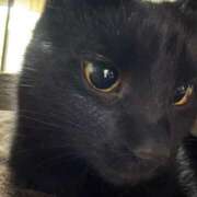 ヒメ日記 2026/02/15 16:23 投稿 まお 京都祇園・南インターちゃんこ