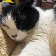 ヒメ日記 2026/02/16 18:29 投稿 まお 京都祇園・南インターちゃんこ