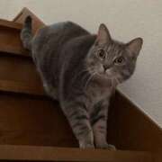 ヒメ日記 2026/02/19 16:33 投稿 まお 京都祇園・南インターちゃんこ