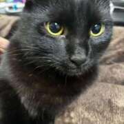 ヒメ日記 2026/02/20 15:58 投稿 まお 京都祇園・南インターちゃんこ