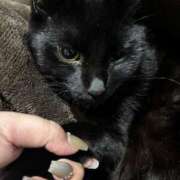 ヒメ日記 2026/03/14 21:16 投稿 まお 京都祇園・南インターちゃんこ