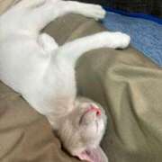 ヒメ日記 2026/03/18 17:52 投稿 まお 京都祇園・南インターちゃんこ