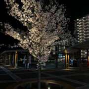 ヒメ日記 2026/04/01 17:58 投稿 まお 京都祇園・南インターちゃんこ