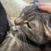 ヒメ日記 2026/04/03 15:31 投稿 まお 京都祇園・南インターちゃんこ