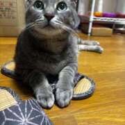 ヒメ日記 2026/04/05 20:56 投稿 まお 京都祇園・南インターちゃんこ