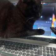 ヒメ日記 2026/04/10 21:43 投稿 まお 京都祇園・南インターちゃんこ